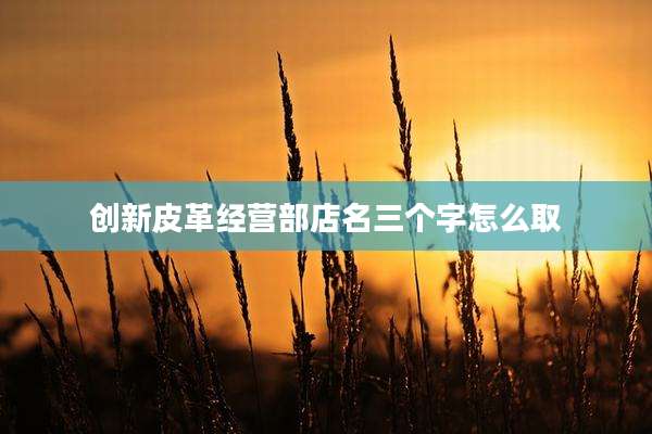 创新皮革经营部店名三个字怎么取