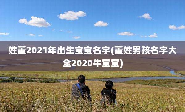 姓董2021年出生宝宝名字(董姓男孩名字大全2020牛宝宝)