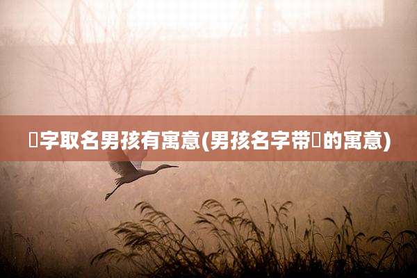 崟字取名男孩有寓意(男孩名字带洐的寓意)
