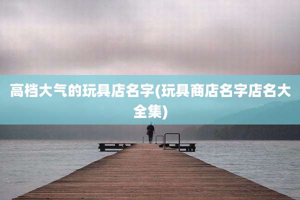 高档大气的玩具店名字(玩具商店名字店名大全集)