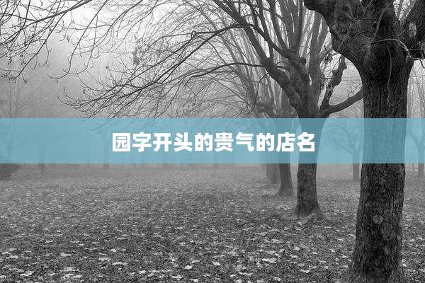 园字开头的贵气的店名