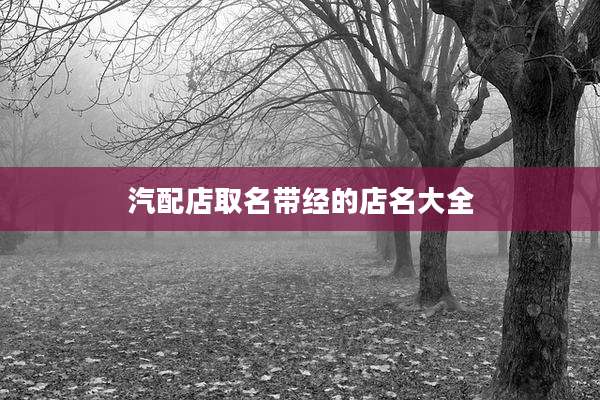 汽配店取名带经的店名大全