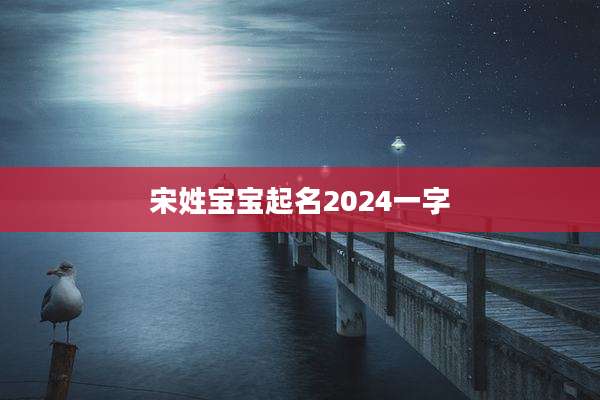 宋姓宝宝起名2024一字