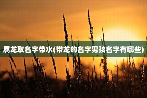 属龙取名字带水(带龙的名字男孩名字有哪些)
