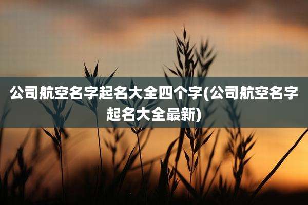 公司航空名字起名大全四个字(公司航空名字起名大全最新)