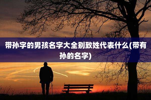 带孙字的男孩名字大全别致姓代表什么(带有孙的名字)