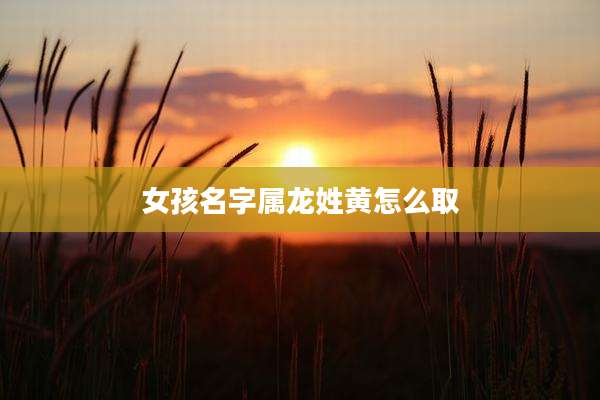 女孩名字属龙姓黄怎么取