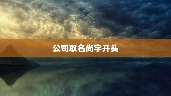 公司取名尚字开头