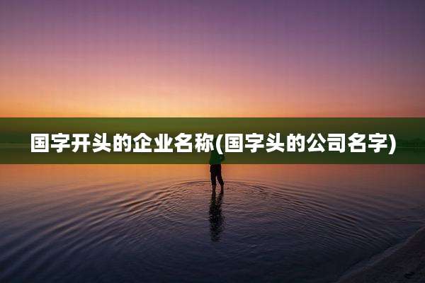 国字开头的企业名称(国字头的公司名字)