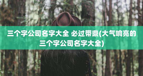 三个字公司名字大全 必过带鼎(大气响亮的三个字公司名字大全)