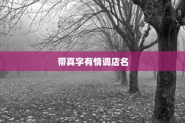 带真字有情调店名