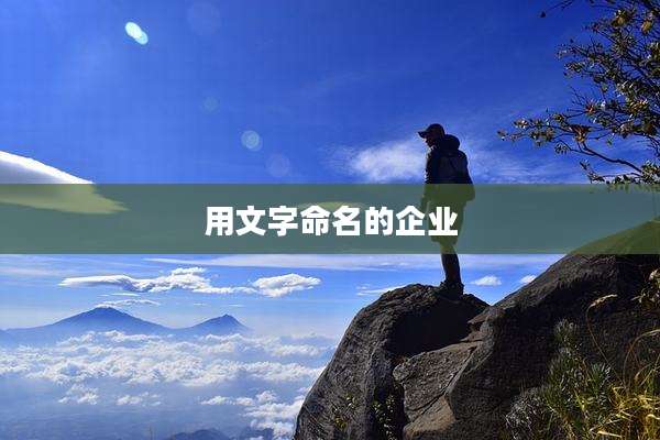 用文字命名的企业