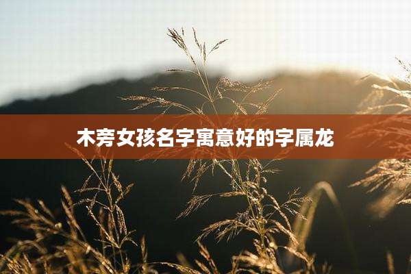 木旁女孩名字寓意好的字属龙