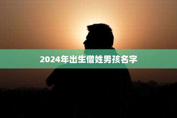 2024年出生僧姓男孩名字