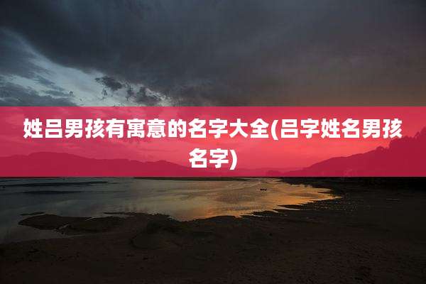 姓吕男孩有寓意的名字大全(吕字姓名男孩名字)