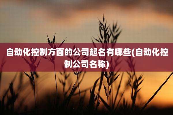 自动化控制方面的公司起名有哪些(自动化控制公司名称)