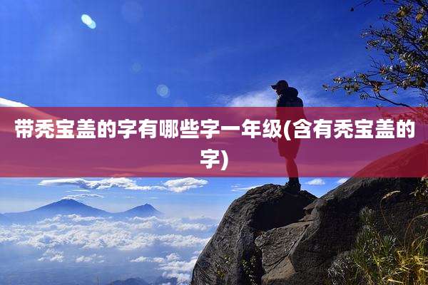 带秃宝盖的字有哪些字一年级(含有秃宝盖的字)