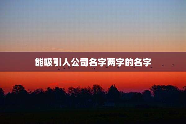 能吸引人公司名字两字的名字