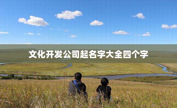 文化开发公司起名字大全四个字