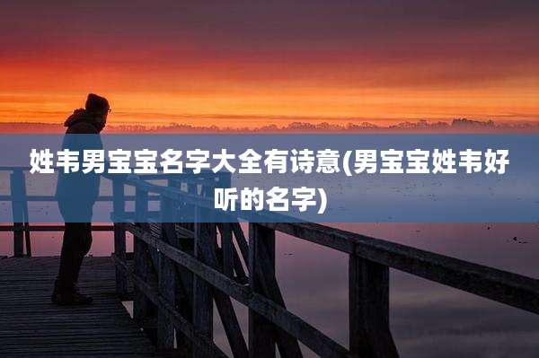 姓韦男宝宝名字大全有诗意(男宝宝姓韦好听的名字)