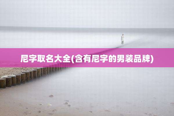 尼字取名大全(含有尼字的男装品牌)