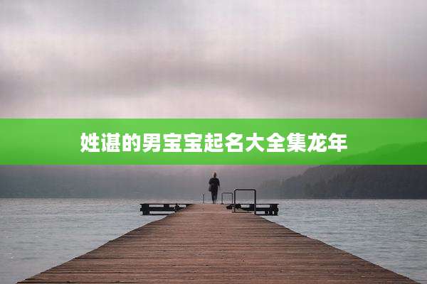 姓谌的男宝宝起名大全集龙年