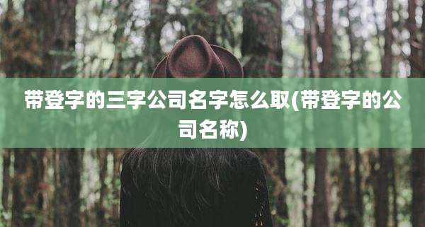 带登字的三字公司名字怎么取(带登字的公司名称)