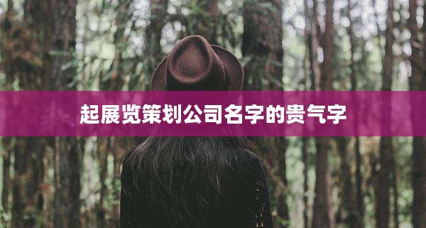 起展览策划公司名字的贵气字