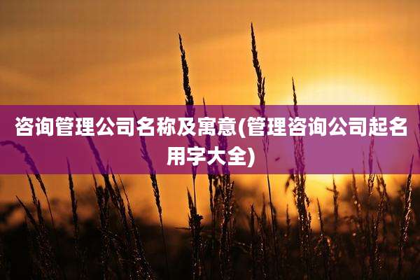 咨询管理公司名称及寓意(管理咨询公司起名用字大全)