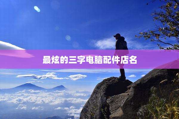 最炫的三字电脑配件店名