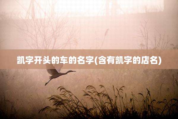 凯字开头的车的名字(含有凯字的店名)