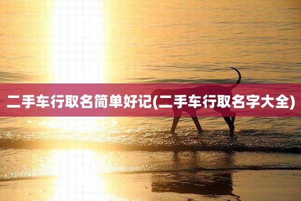 二手车行取名简单好记(二手车行取名字大全)