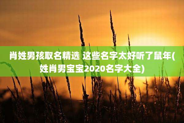 肖姓男孩取名精选 这些名字太好听了鼠年(姓肖男宝宝2020名字大全)