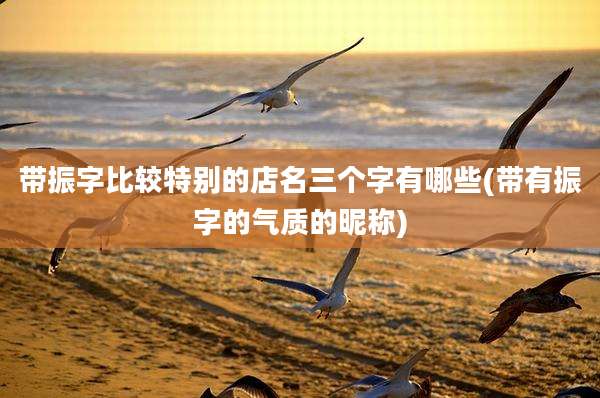 带振字比较特别的店名三个字有哪些(带有振字的气质的昵称)