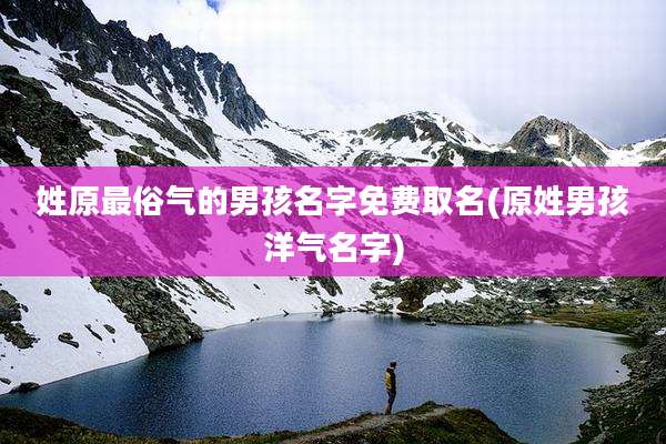姓原最俗气的男孩名字免费取名(原姓男孩洋气名字)