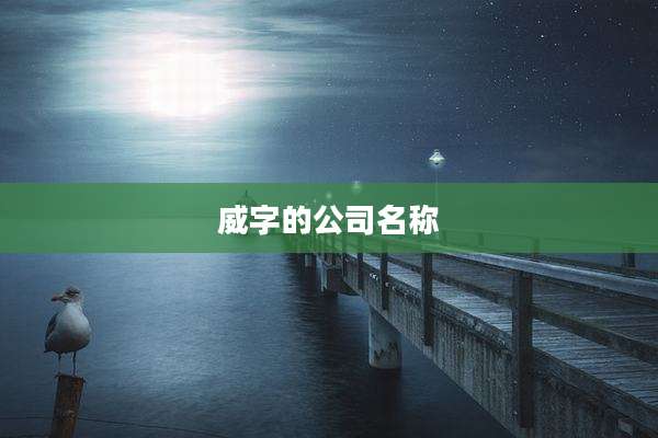 威字的公司名称
