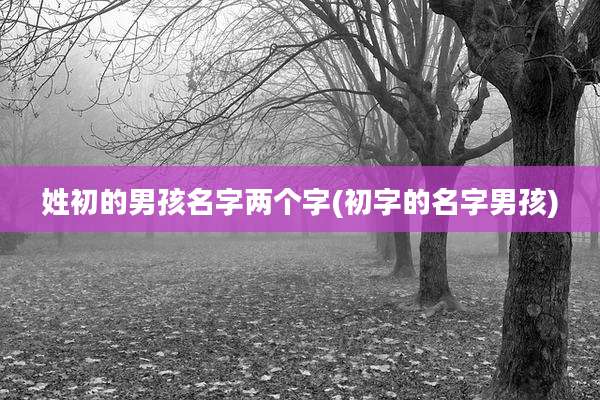 姓初的男孩名字两个字(初字的名字男孩)