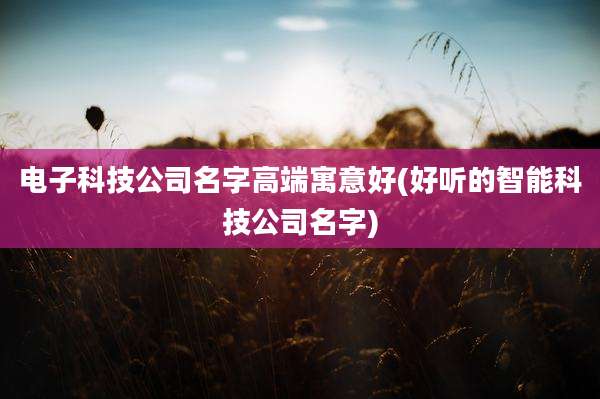 电子科技公司名字高端寓意好(好听的智能科技公司名字)