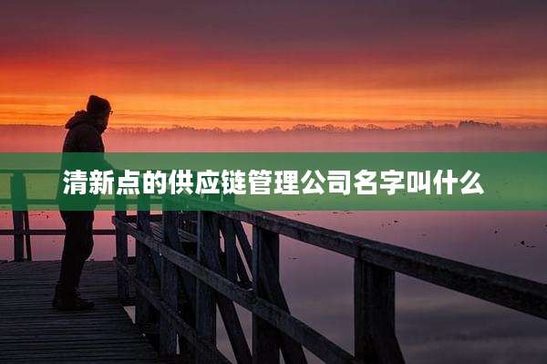 清新点的供应链管理公司名字叫什么