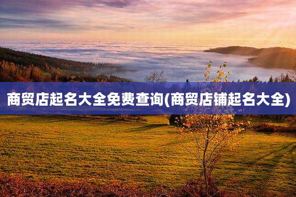 商贸店起名大全免费查询(商贸店铺起名大全)
