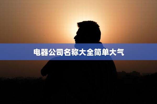 电器公司名称大全简单大气