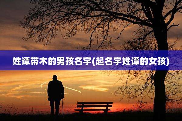 姓谭带木的男孩名字(起名字姓谭的女孩)