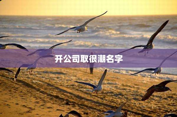 开公司取很潮名字