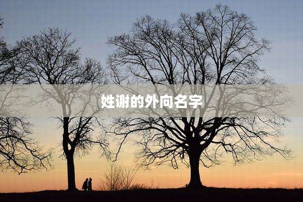 姓谢的外向名字