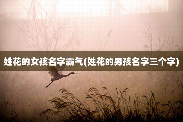 姓花的女孩名字霸气(姓花的男孩名字三个字)