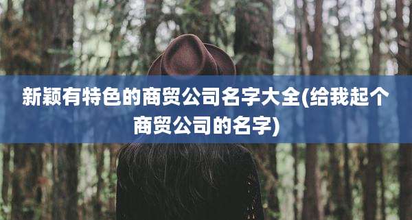 新颖有特色的商贸公司名字大全(给我起个商贸公司的名字)
