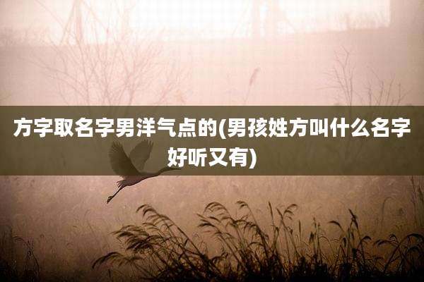 方字取名字男洋气点的(男孩姓方叫什么名字好听又有)