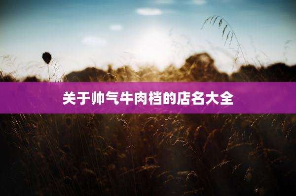 关于帅气牛肉档的店名大全