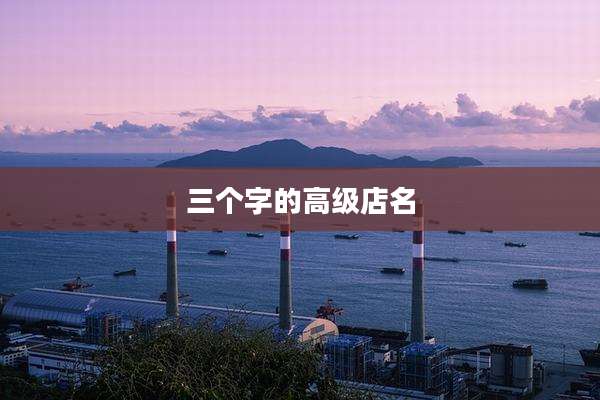 三个字的高级店名