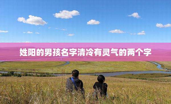 姓阳的男孩名字清冷有灵气的两个字